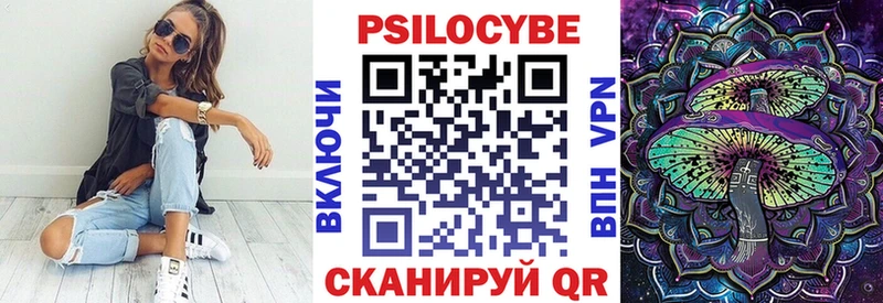 цены наркотик  omg   Галлюциногенные грибы GOLDEN TEACHER  Нерчинск 