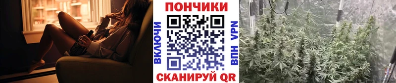 Шишки марихуана марихуана  мориарти телеграм  Нерчинск  где купить наркоту 